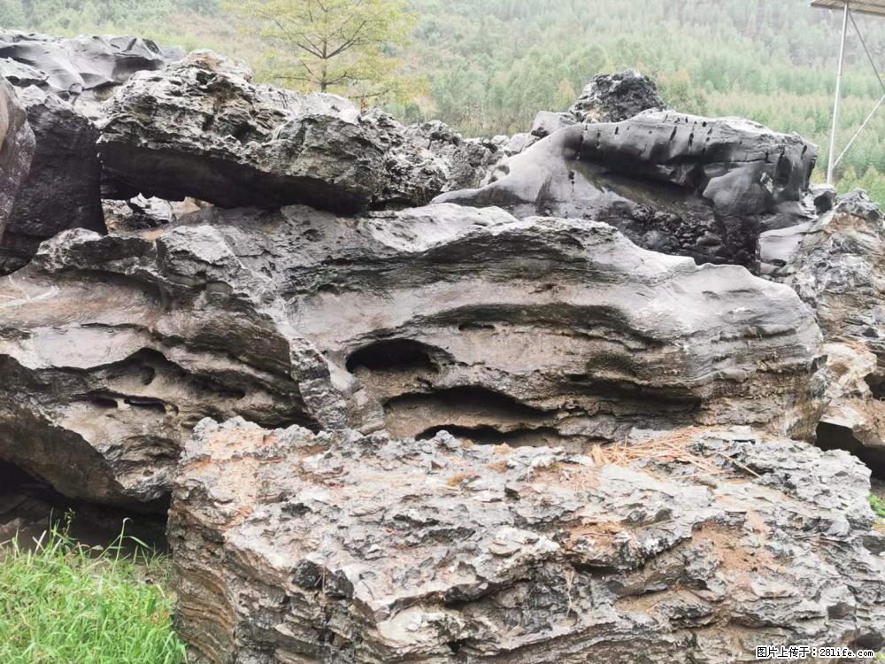 风景石、假山石大量有货，有需要的欢迎联系 - 新手上路 - 山南生活社区 - 山南28生活网 sn.28life.net