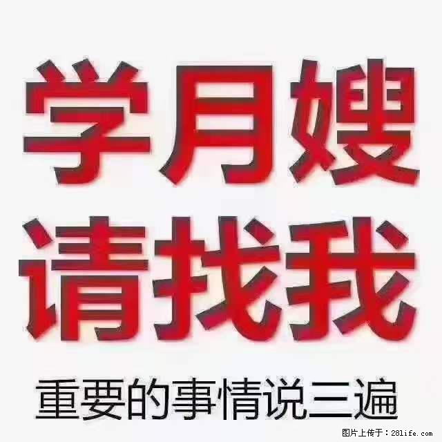 为什么要学习月嫂，育婴师？ - 其他广告 - 广告专区 - 山南分类信息 - 山南28生活网 sn.28life.net