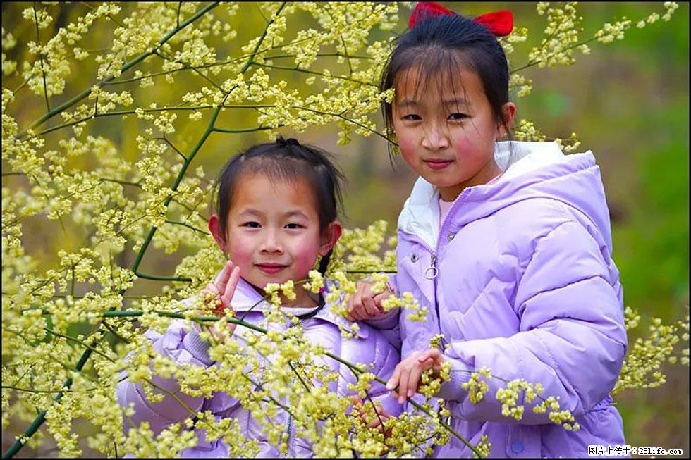 【春天，广西桂林灌阳县向您发出邀请！】米珠山前有片山苍子花在飘香 - 游山玩水 - 山南生活社区 - 山南28生活网 sn.28life.net