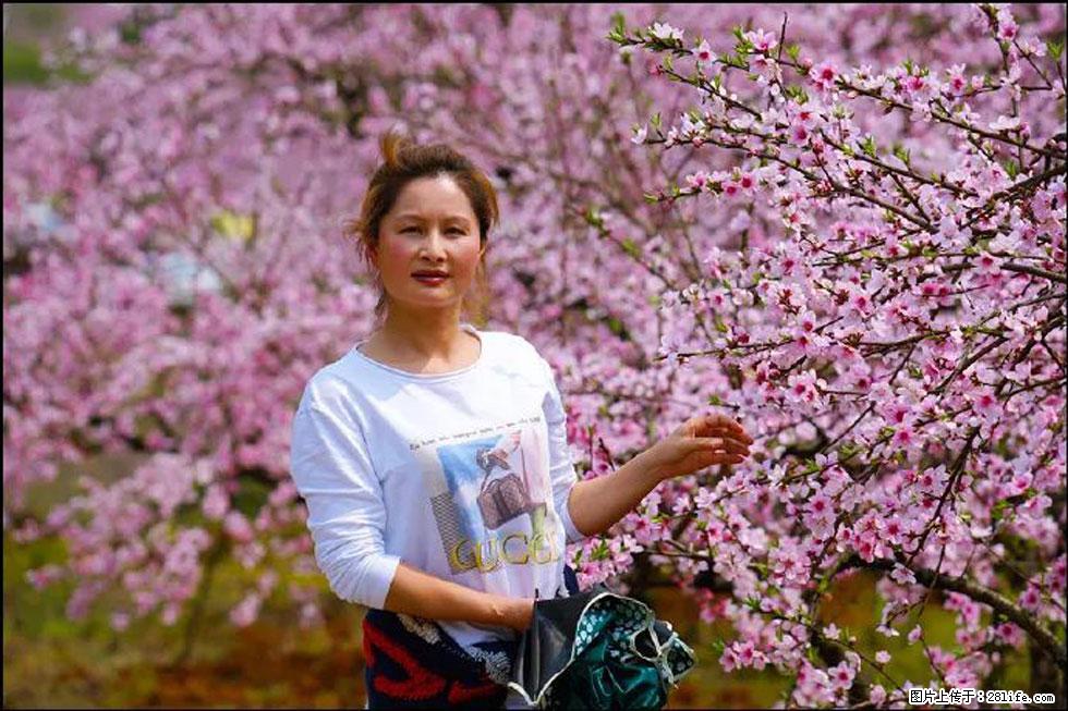 【春天，广西桂林灌阳县向您发出邀请！】官庄村有个醉美的桃花园 - 游山玩水 - 山南生活社区 - 山南28生活网 sn.28life.net