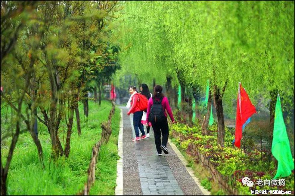【春天，广西桂林灌阳县向您发出邀请！】江口老街又逢春 - 游山玩水 - 山南生活社区 - 山南28生活网 sn.28life.net