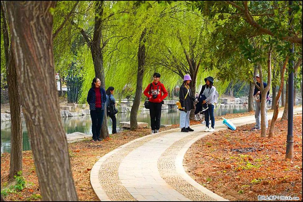 【春天，广西桂林灌阳县向您发出邀请！】江口老街又逢春 - 游山玩水 - 山南生活社区 - 山南28生活网 sn.28life.net