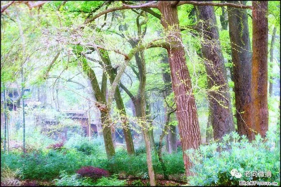 【春天，广西桂林灌阳县向您发出邀请！】在小龙村与春天约会 - 游山玩水 - 山南生活社区 - 山南28生活网 sn.28life.net