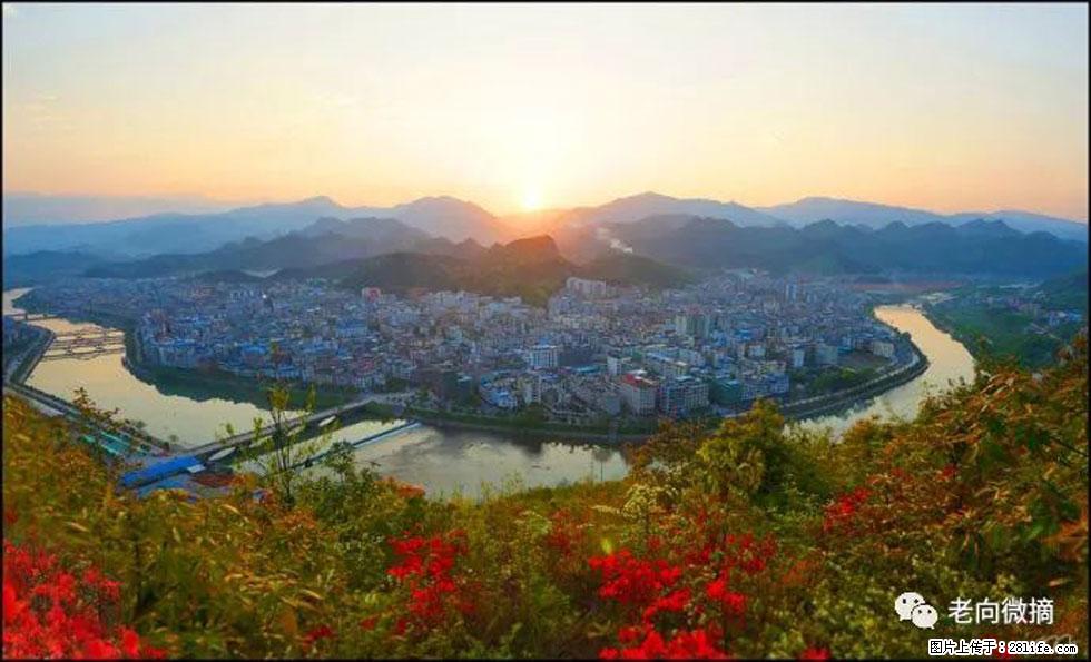 【春天，广西桂林灌阳县向您发出邀请！】登麒麟山，相约映山红 - 游山玩水 - 山南生活社区 - 山南28生活网 sn.28life.net