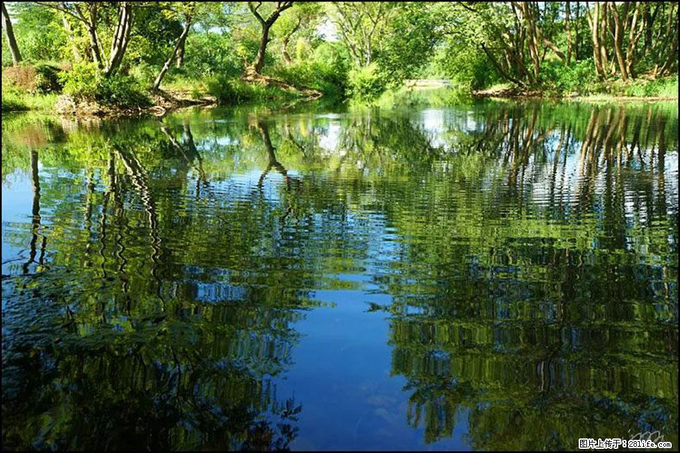 【春天，广西桂林灌阳县向您发出邀请！】熊家寨湿地公园 - 游山玩水 - 山南生活社区 - 山南28生活网 sn.28life.net