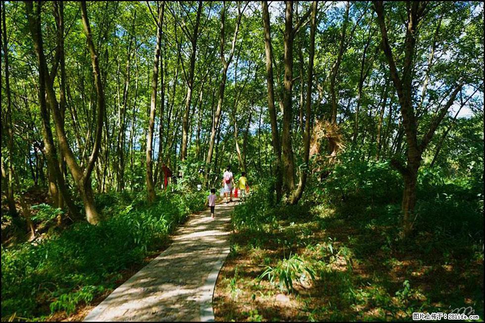 【春天，广西桂林灌阳县向您发出邀请！】熊家寨湿地公园 - 游山玩水 - 山南生活社区 - 山南28生活网 sn.28life.net
