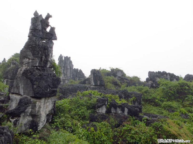 桂林旅游名城景点：灌阳文市石林 - 游山玩水 - 山南生活社区 - 山南28生活网 sn.28life.net