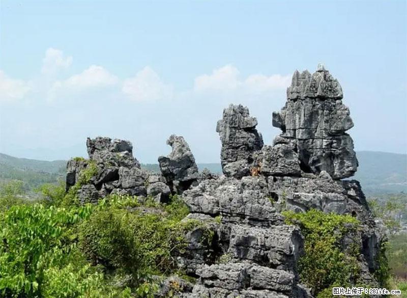 桂林旅游名城景点：灌阳文市石林 - 游山玩水 - 山南生活社区 - 山南28生活网 sn.28life.net