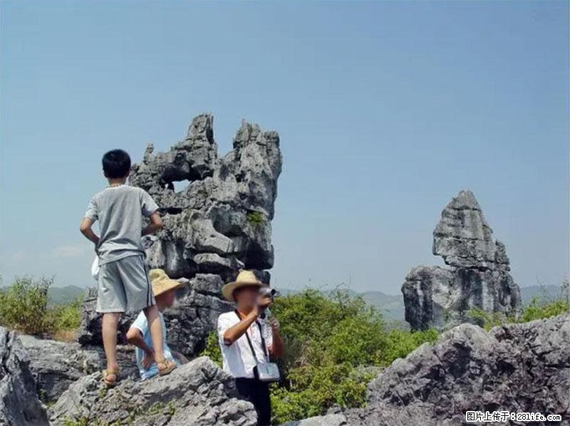 桂林旅游名城景点：灌阳文市石林 - 游山玩水 - 山南生活社区 - 山南28生活网 sn.28life.net