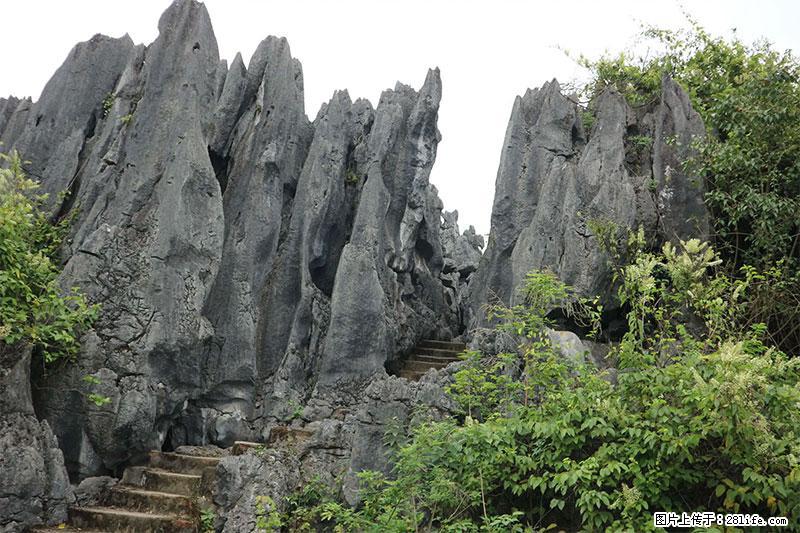 桂林旅游名城景点：灌阳文市石林 - 游山玩水 - 山南生活社区 - 山南28生活网 sn.28life.net