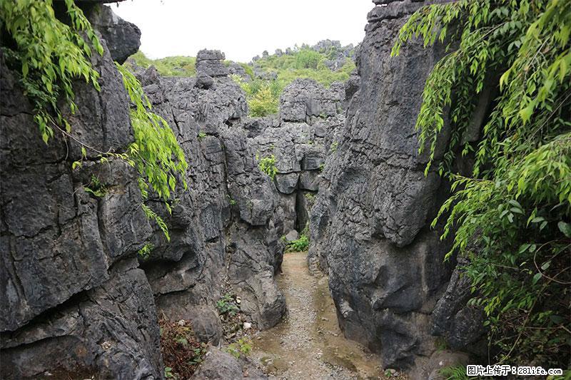 桂林旅游名城景点：灌阳文市石林 - 游山玩水 - 山南生活社区 - 山南28生活网 sn.28life.net