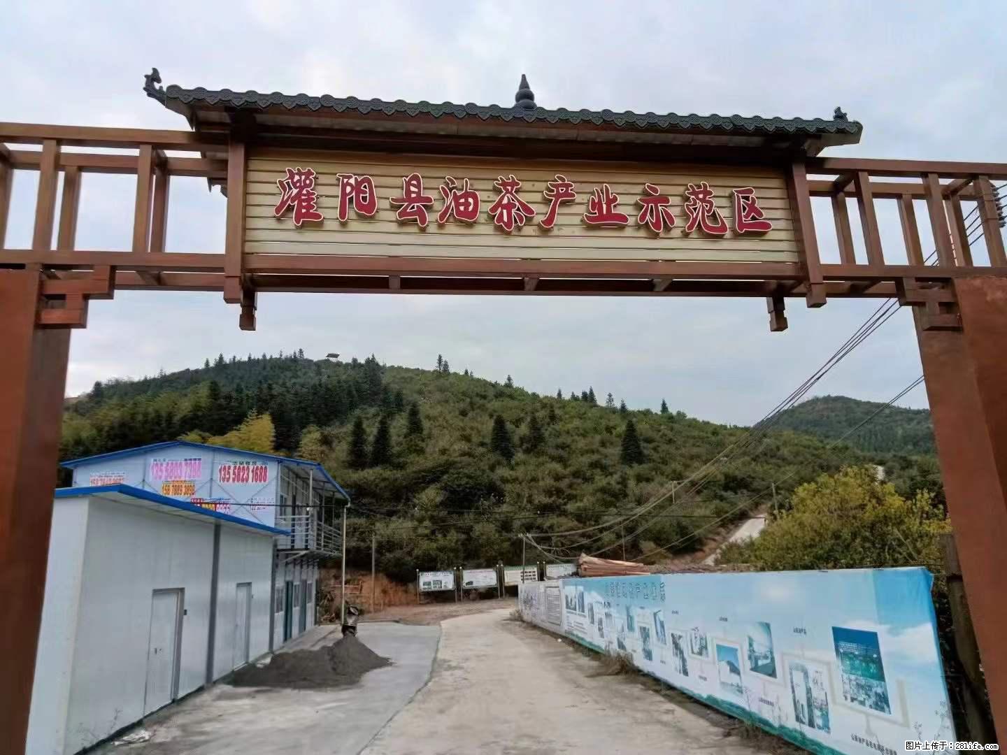【灌阳县油茶产业示范区】一个有着充实的精神生活的人，对待身外之物自会有一种淡泊的态度 - 美食天地 - 山南生活社区 - 山南28生活网 sn.28life.net