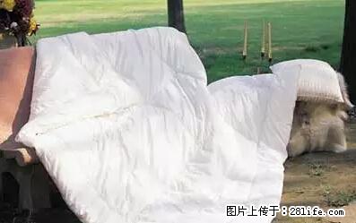 被子有异味？只要这样做，比晒太阳还强100倍！ - 家居生活 - 山南生活社区 - 山南28生活网 sn.28life.net