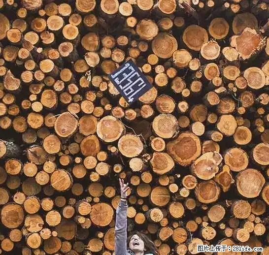 辞掉工作周游世界？现在他们在洗厕所…… - 游山玩水 - 山南生活社区 - 山南28生活网 sn.28life.net