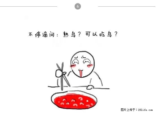 千万不要和这9种哈卵一起吃火锅！ - 美食天地 - 山南生活社区 - 山南28生活网 sn.28life.net