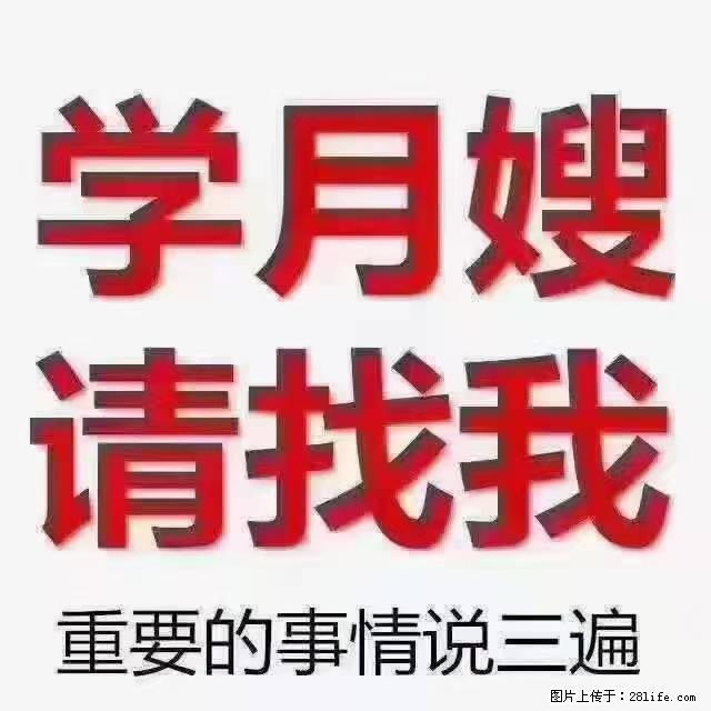 【招聘】月嫂，上海徐汇区 - 职场交流 - 山南生活社区 - 山南28生活网 sn.28life.net