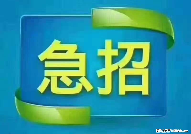 招出纳8000元/月，无证可以，要有相关经验，上海五险一金，包住，包工作餐，做六休一。 - 职场交流 - 山南生活社区 - 山南28生活网 sn.28life.net