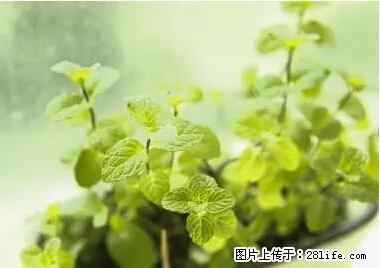 晕车、脚气、牙齿变黄、皮肤粗糙?学会这些三分钟搞定! - 山南生活资讯 - 山南28生活网 sn.28life.net
