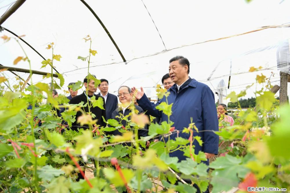 习近平赴广西考察调研 - 山南生活资讯 - 山南28生活网 sn.28life.net