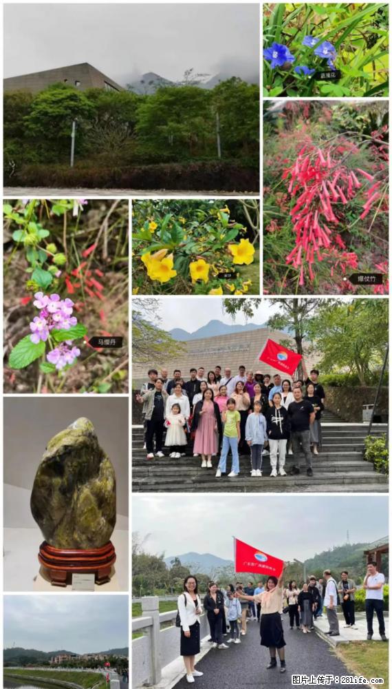 “粤灌文化 美好生活”油茶文化主题活动在广东深圳成功举办 - 山南生活资讯 - 山南28生活网 sn.28life.net