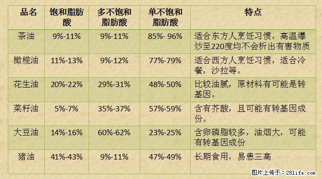 揭秘茶油的5大核心营养成分！被称为人体健康的“守护盾”！ - 山南生活资讯 - 山南28生活网 sn.28life.net