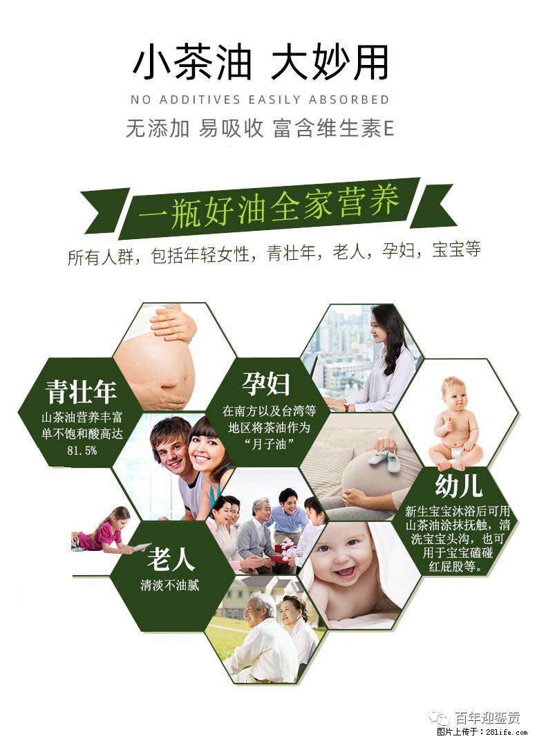 世界没有真相，只有认知，最好的食用油是中国的山茶油！ - 山南生活资讯 - 山南28生活网 sn.28life.net