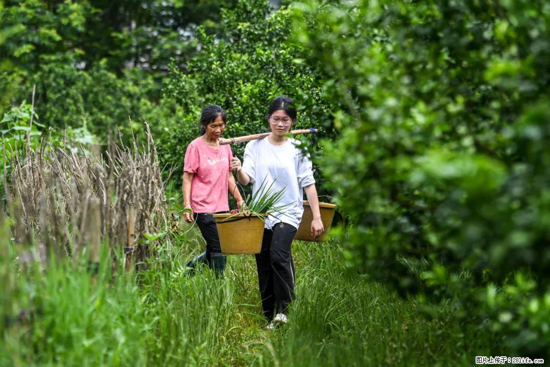 全网追的“扁担女孩”，找了一份暑假工，时薪12元 - 山南生活资讯 - 山南28生活网 sn.28life.net