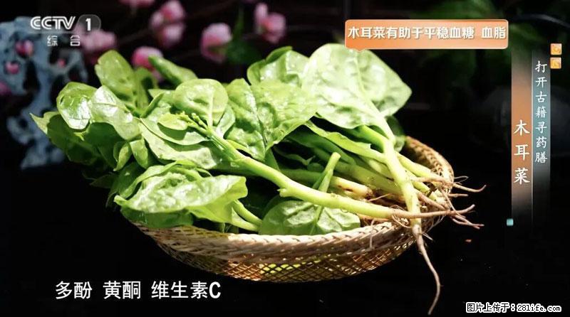 比牛奶补钙还厉害！凉血解毒、稳血糖...这菜冬天必吃，很多人却当草 - 山南生活资讯 - 山南28生活网 sn.28life.net