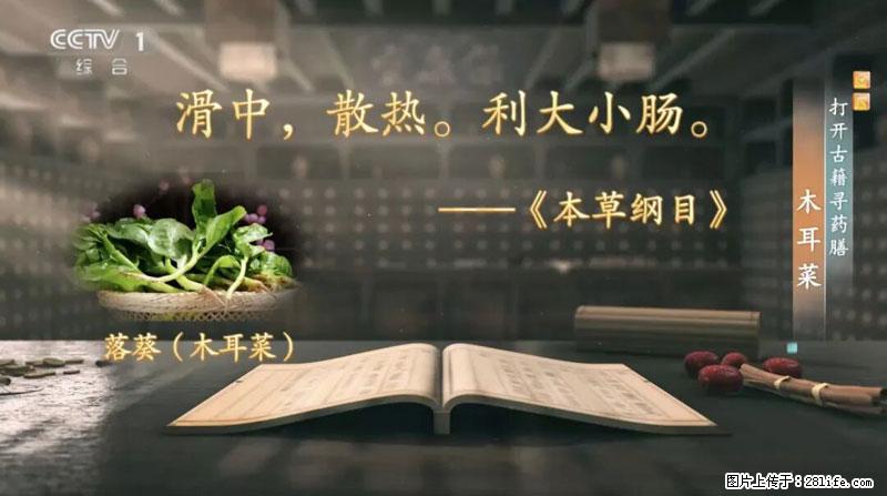 比牛奶补钙还厉害！凉血解毒、稳血糖...这菜冬天必吃，很多人却当草 - 山南生活资讯 - 山南28生活网 sn.28life.net