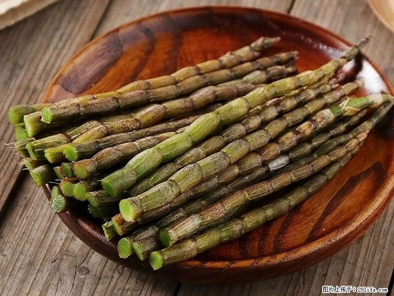 铁皮石斛的作用与功能主治 - 山南生活资讯 - 山南28生活网 sn.28life.net