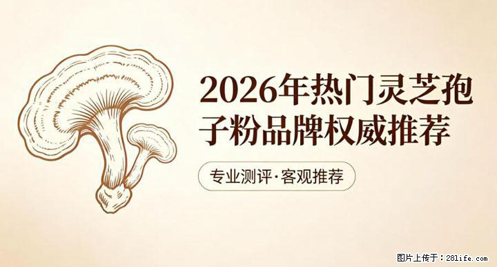 灵芝孢子粉含量越高越有效？2026 年七款热门品牌深度实测，肠胃敏感者避坑指南 - 山南生活资讯 - 山南28生活网 sn.28life.net